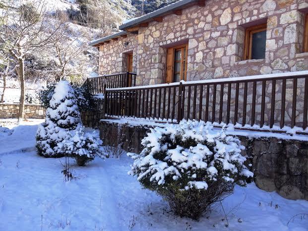 Appartement Andrea Sofi *